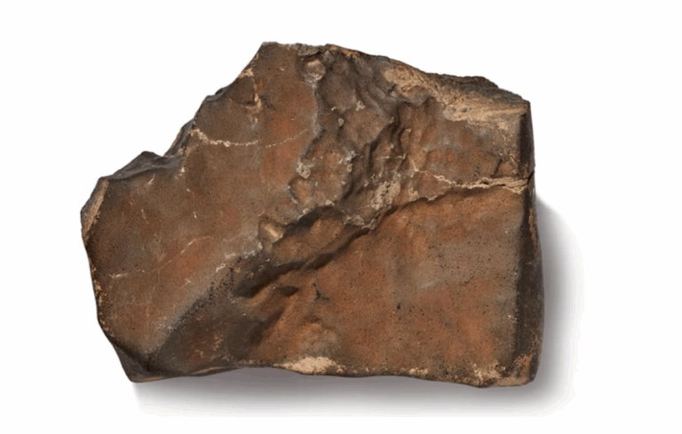 Dünyanın En Büyük Mars Meteoru Rekor Fiyata Alıcı Buldu