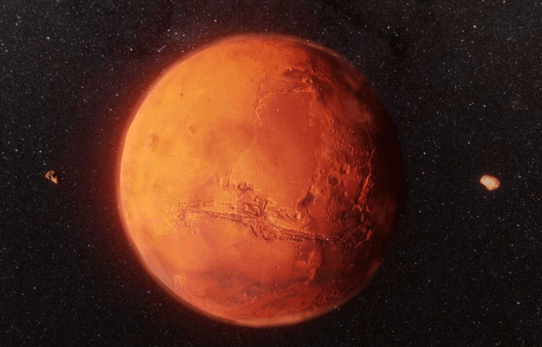 Uzaydan Gelen Servet: Tarihin En Büyük Mars Taşı Satışta