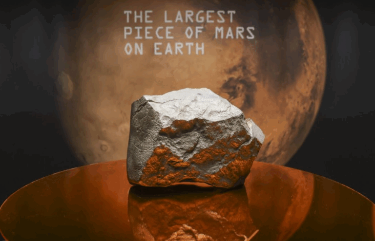 225 Milyon Km'den Gelen Servet: Mars Göktaşı Satışı Tartışma Yarattı