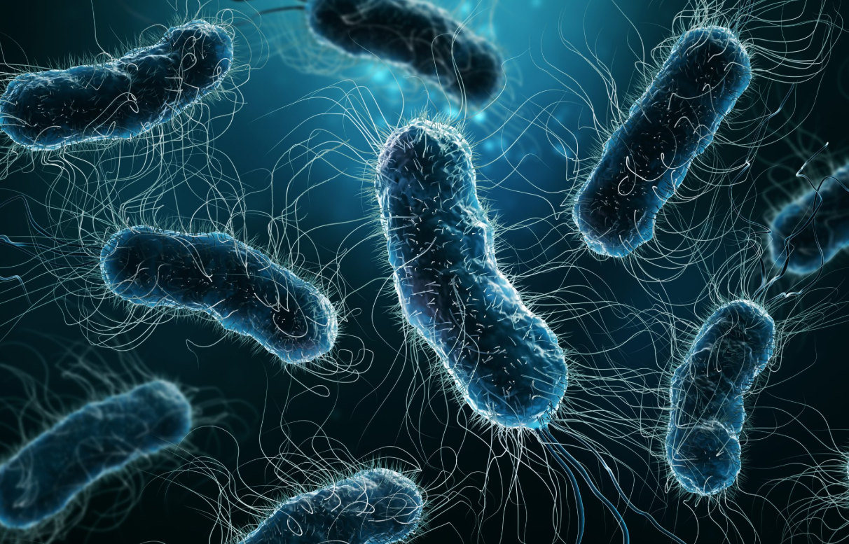 Sentetik Genetik Kodda Çığır: Syn57’nin Doğuşu