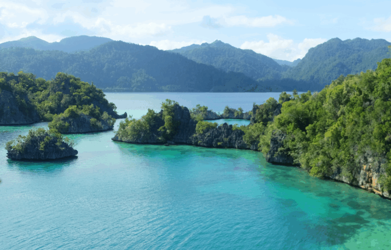 Sulawesi'de Zamanın İzleri: 1.4 Milyon Yıllık Taş Aletler Kimin Eseri?