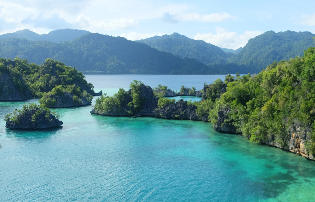 Sulawesi'de Zamanın İzleri: 1.4 Milyon Yıllık Taş Aletler Kimin Eseri?