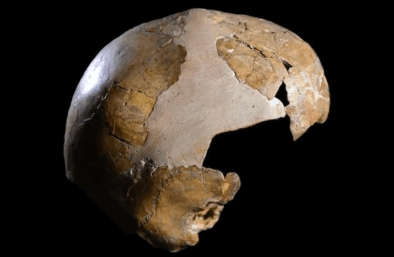 140.000 Yıllık Melez: İnsanlık Tarihini Yeniden Yazdıran Çocuk