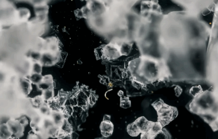 Kristal Akciğerler: Temiz Enerjide Sessiz Bir Devrim