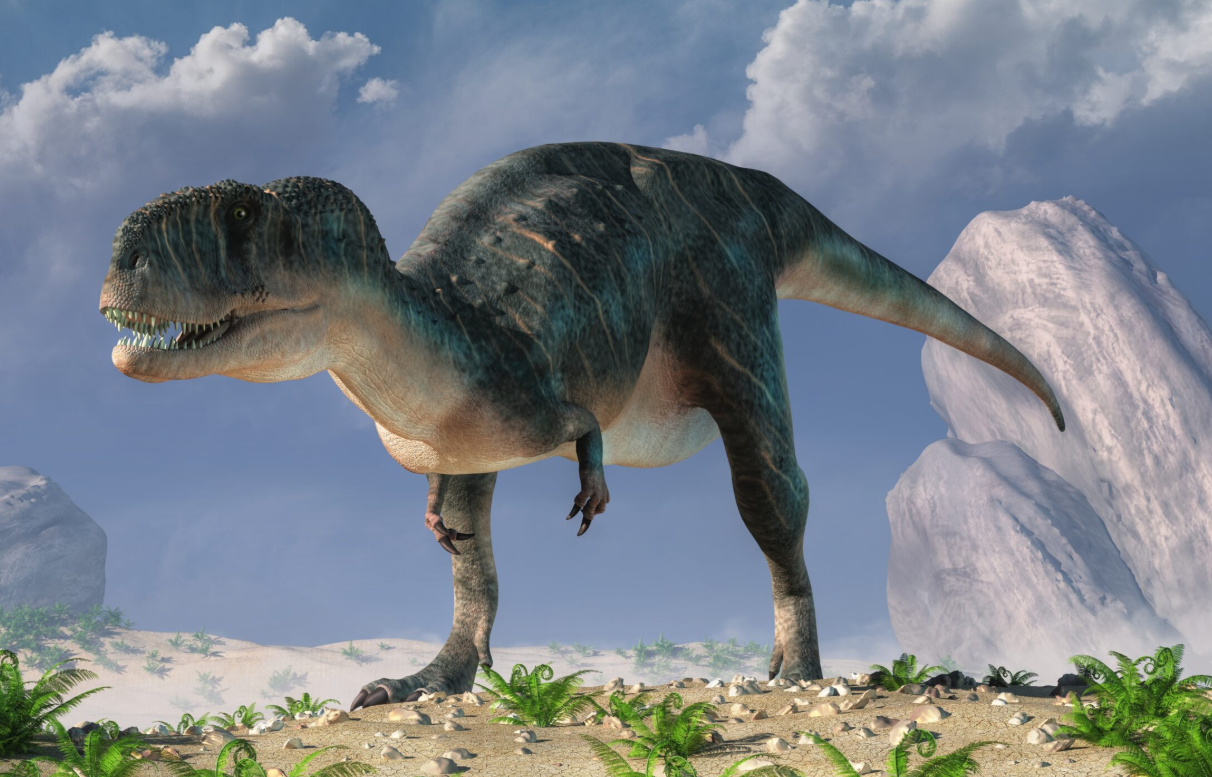 Kretase Dönemine Ait Fosil, Megaraptor Ailesine Yeni Bir Tür Ekledi