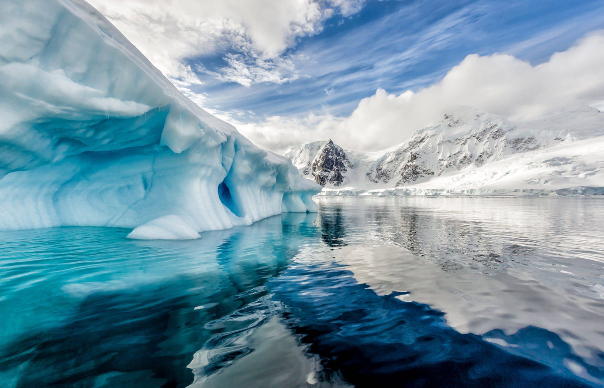 Antarktika’da 15.000 Yaşında Dev Sünger Keşfedildi: Gezegenin En Yaşlı Hayvanı mı?