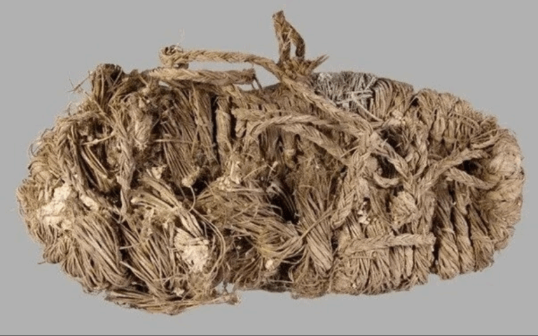 Kuş Yuvasından 750 Yıllık Ayakkabı Çıktı: Bilim Dünyası Şaşkın!