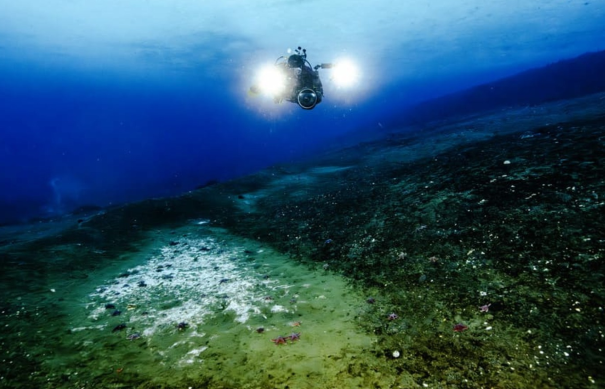 Antarktika Deniz Tabanından Şiddetli Metan Sızıntıları Tespit Edildi