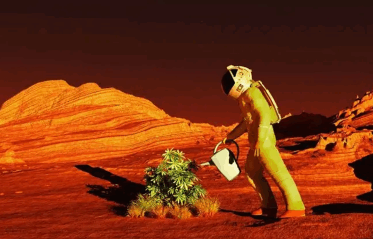 Mars Tarımı İçin Umut: Yosun Sporları Uzayda 9 Ay Dayandı