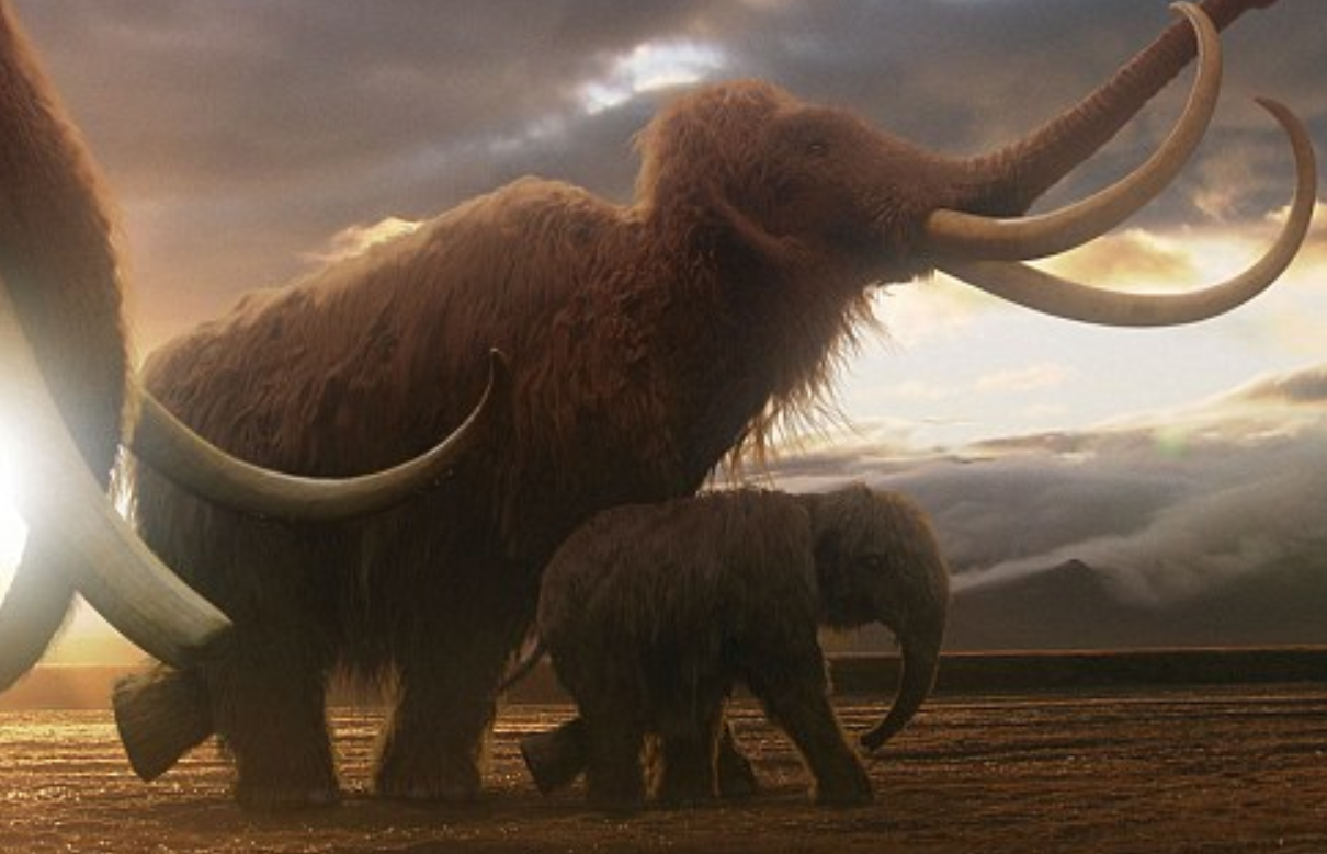 40 Bin Yıllık Mamutun RNA’sı Çözüldü: Bilim Dünyasında Tarihi Bir Dönüm Noktası