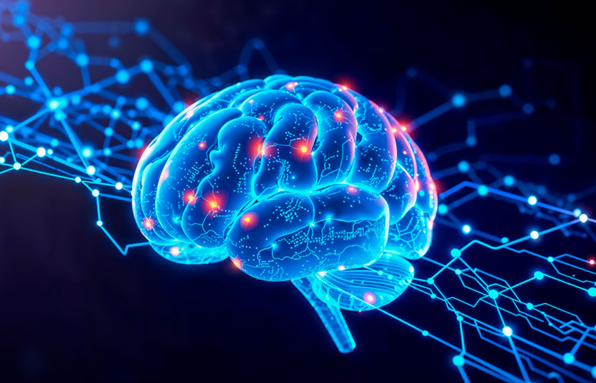 Öğrenme Beyinde Gerçekten Nasıl Gerçekleşiyor?