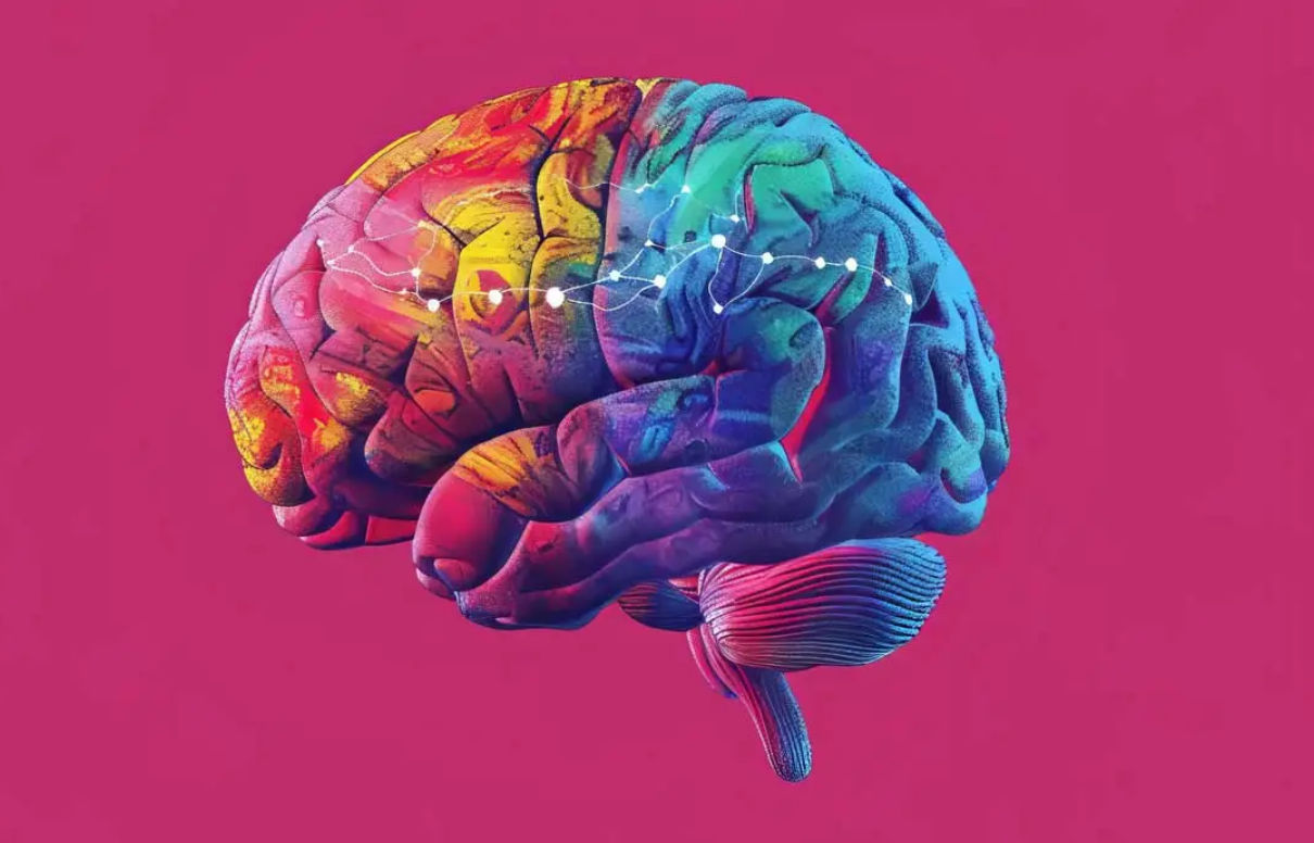 Beynimiz Gerçekten Ne Kadarını Kullanıyor? Bilimin Cevabı Şaşırtıyor