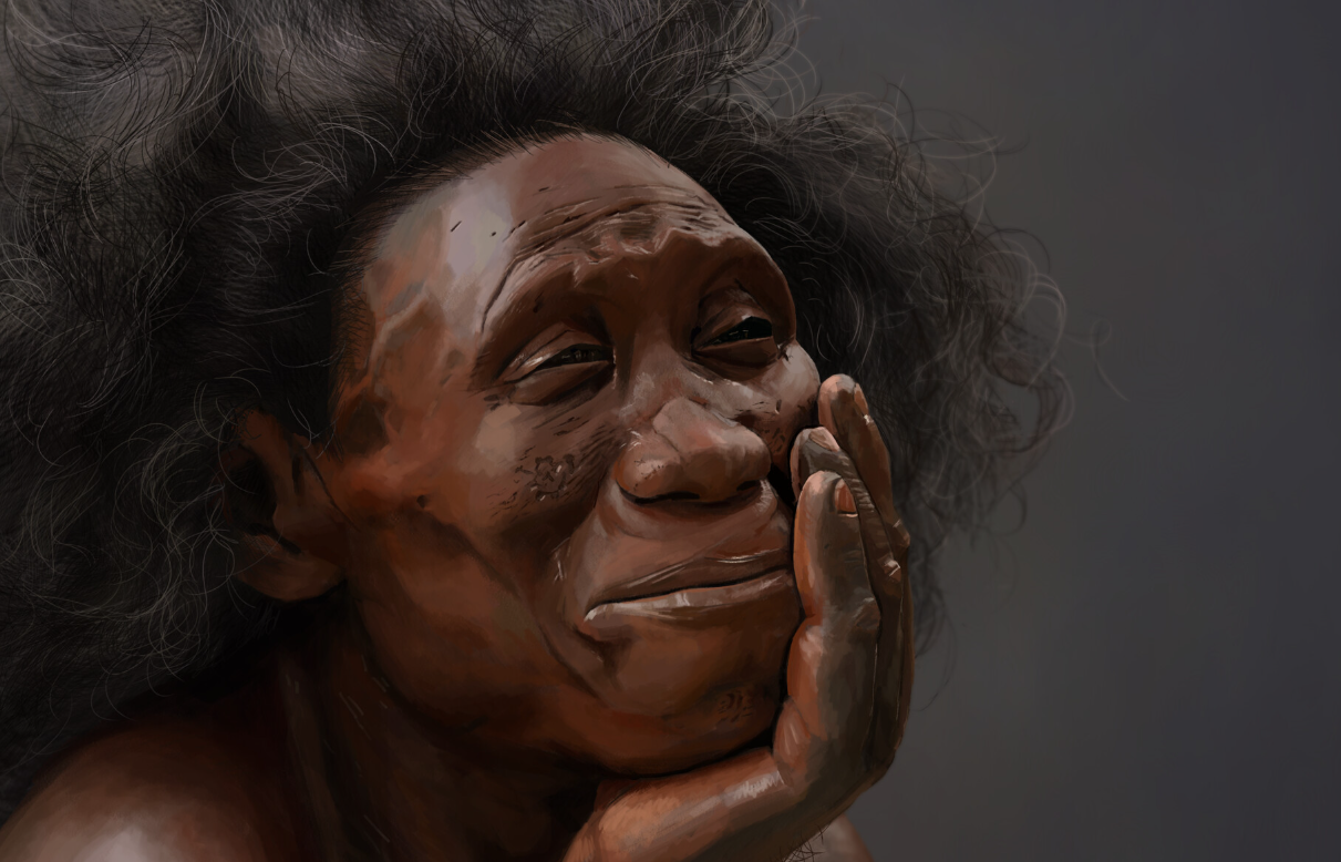 İnsanlık Tarihini Değiştiren En Önemli Fosil Keşifleri