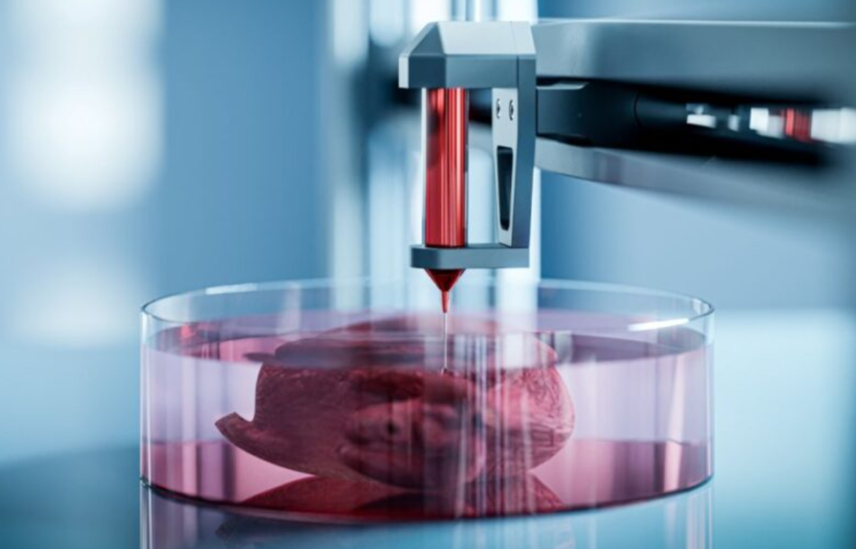 3D Yazıcıyla Üretilen Karaciğer Yaması: Organ Nakline Yeni Bir Alternatif