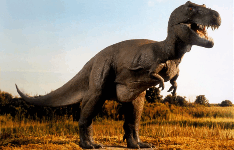 T-Rex’lerin Gizemli Büyüme Yolculuğu: 40 Yılda Devleştiler