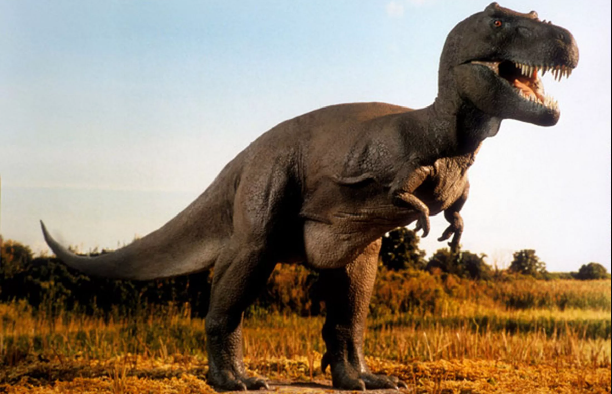 T-Rex’lerin Gizemli Büyüme Yolculuğu: 40 Yılda Devleştiler