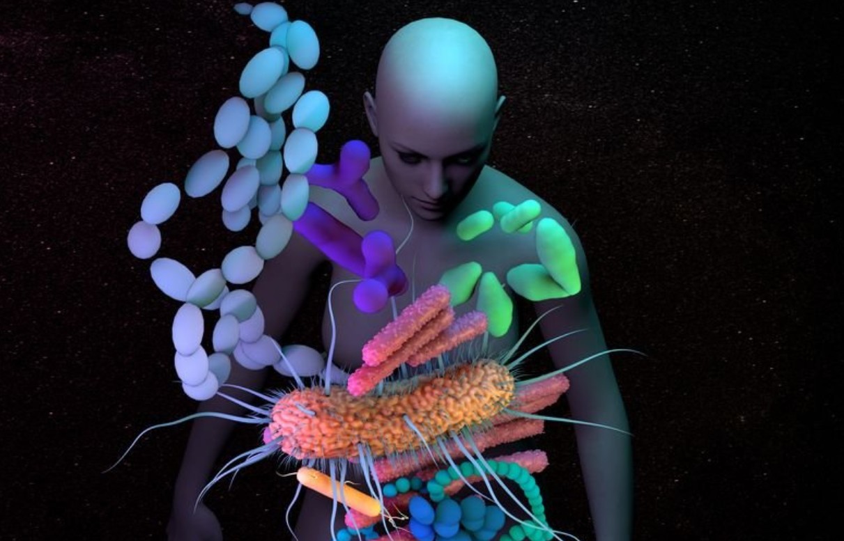 Bağırsaklarımızdaki Bakteriler Kararlarımızı Yönlendiriyor mu?