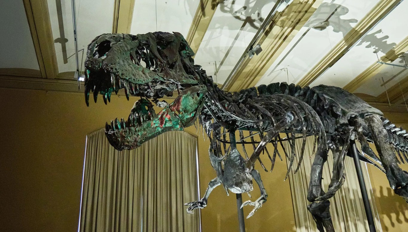 T. Rex Fosillerinde Kan Damarları: Dinozor Bilimini Yeniden Yazıyor