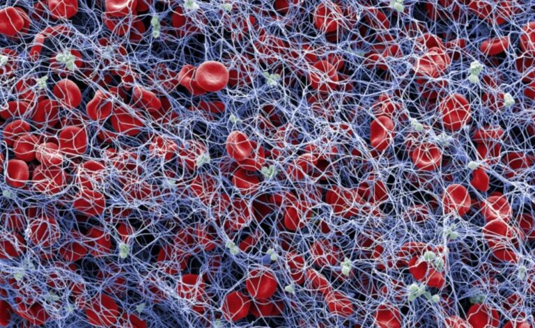 Sentetik Kan Pıhtısı: “Click Clotting” Teknolojisi