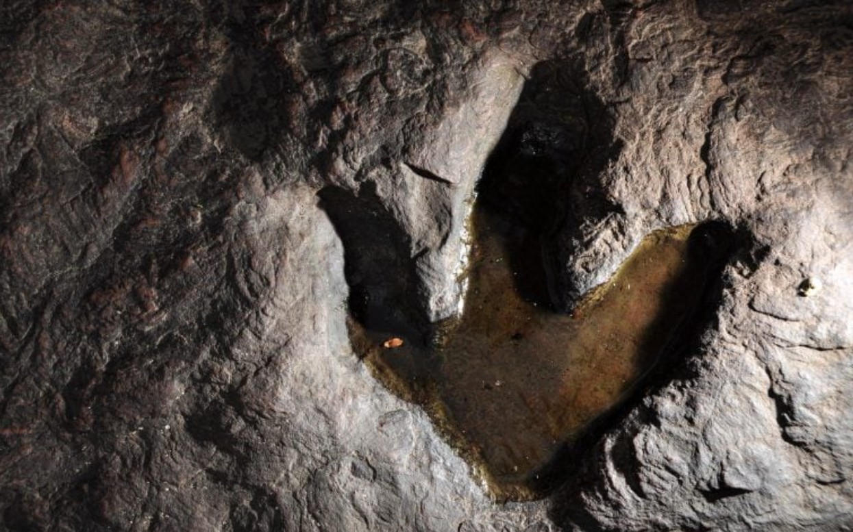 Güney Afrika’da 132 Milyon Yıllık Dinozor İzleri