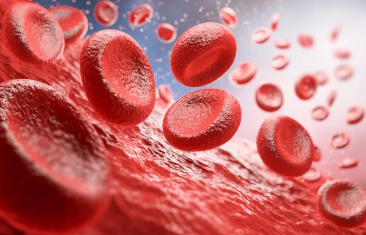 50 Yıllık Kan Grubu Gizemi Çözüldü: Yeni Genetik Katman Ortaya Çıktı