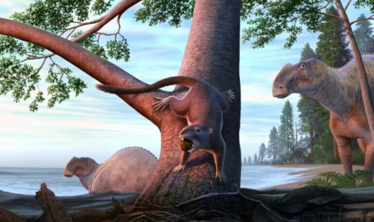 Dinozor Çağından Kurtulan Küçük Memeli