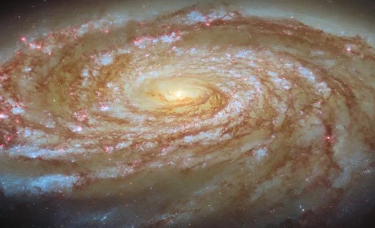 Başak Kümesi’ne Sürüklenen Spiral Galaksi: M88