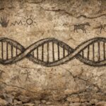 Neandertallerle Paylaşılan DNA: İnsan Dilinin Gizli Kökeni
